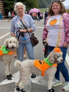 Mutt Strutt Doggie Costume Contest - Pumpkintown Athens, TN Friendly City Festivals